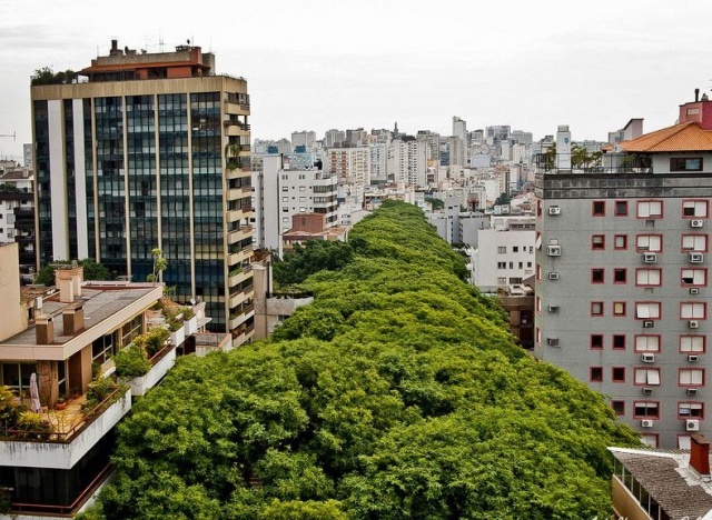 Rua Goncalo de Carvalho - beautiful street 1