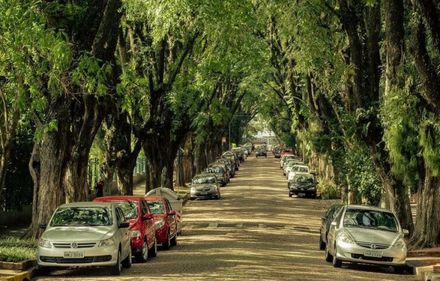 Rua Goncalo de Carvalho - beautiful street 2