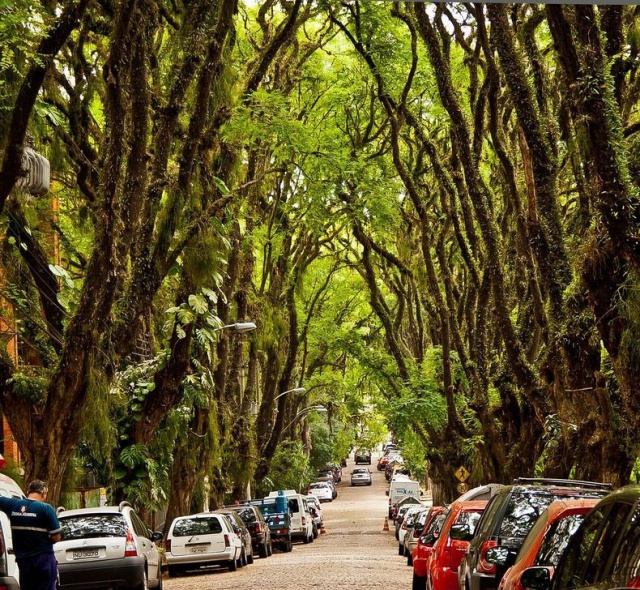 Rua Goncalo de Carvalho - beautiful street 4