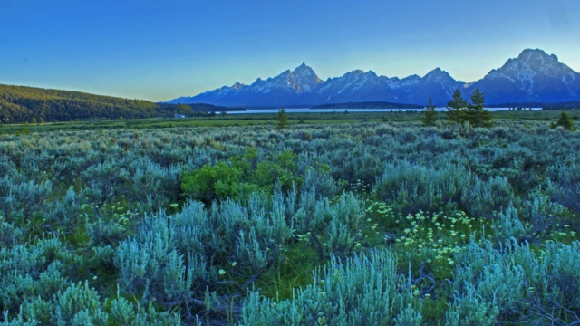 Grand Teton National Park