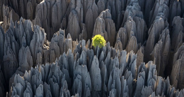 Tsingy de Bemaraha 2