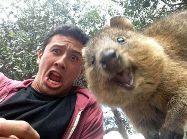 Extreme Selfie 6