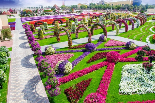 Miracle Garden Dubai