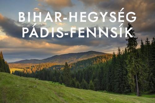 Bihar-hegység, Pádis-fennsík