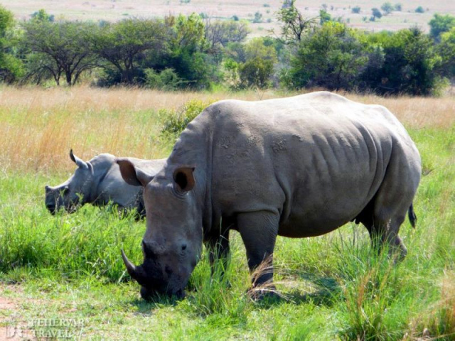 Dél Afrika, a Szivárványország - körutazás a Dél-Afrikai Köztársaságban
