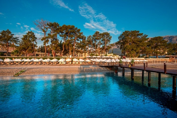 AKRA KEMER *****
