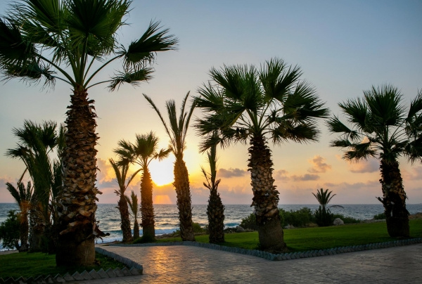 Louis Paphos Breeze Hotel 2023 tél / 2024 tavasz