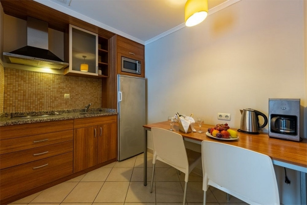 VIKING SUITE HOTEL ****