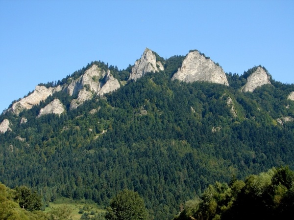 Zakopane és a Tátra - Krókusz virágzás
