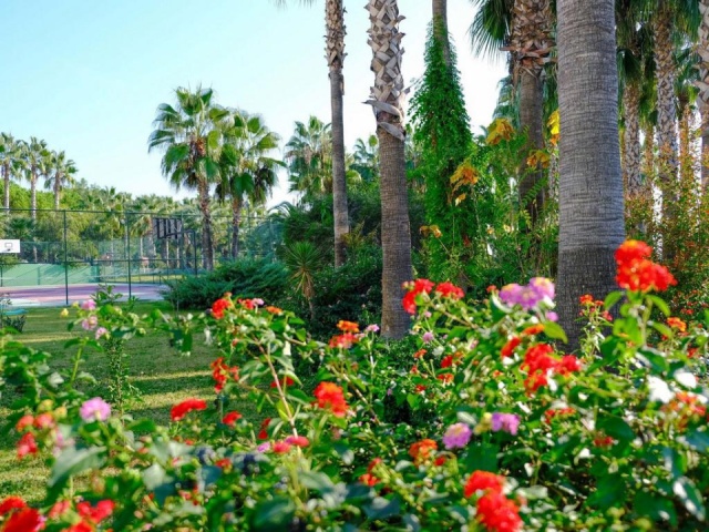 Royal Atlantis Beach Hotel