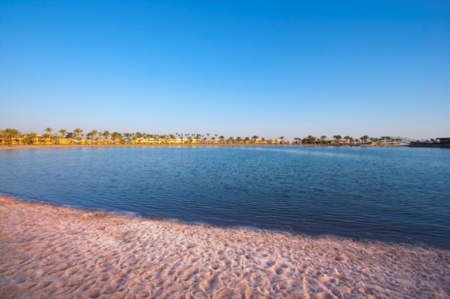 Desert Rose Resort