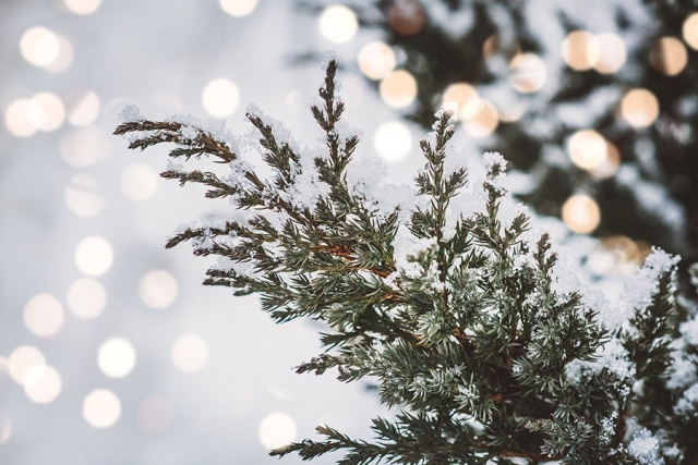 Karácsonyi készülődés az Isztrián