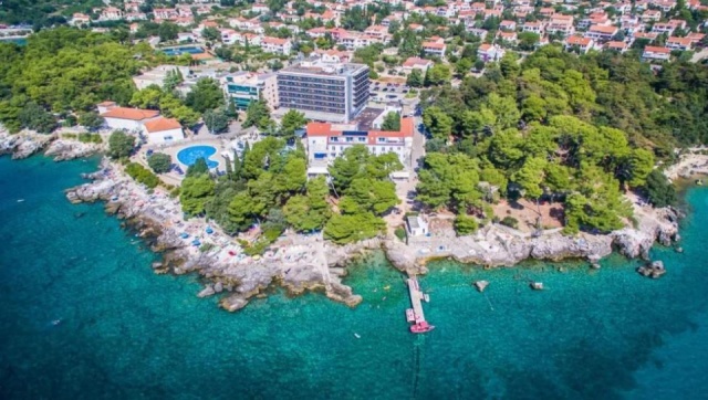 Olívaszüret Krk-szigeten