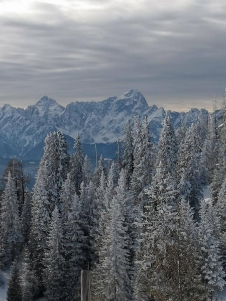 ADVENT TIROLBAN - Innsbruck, Seefeld, Hall in Tirol, Artstetten kastélya és a Chiemsee hajóval ***