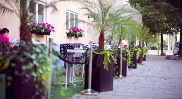 Home Hotel Tapto