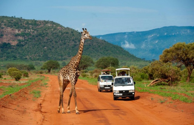 Szafari (2+5) - MASAI MARA, repülővel