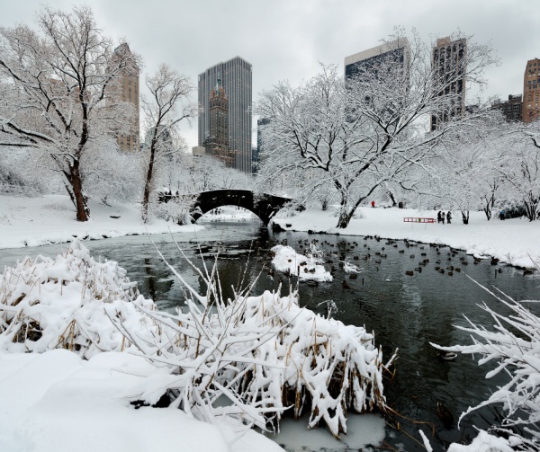NEW YORK ADVENTKOR - MERT KARÁCSONYI FÉNYEKBEN LÁTNI KELL! - Egy hét, ami örökre velünk marad: New York ünnepi fényei és ikonikus