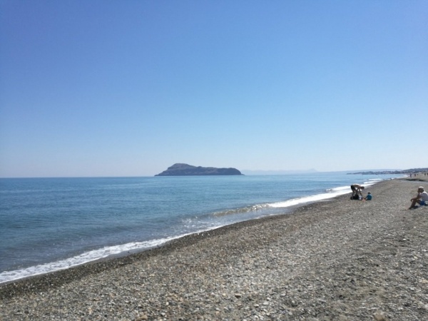 Venus Beach