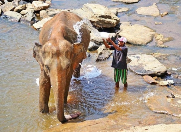 Nagykörút Sri Lankán