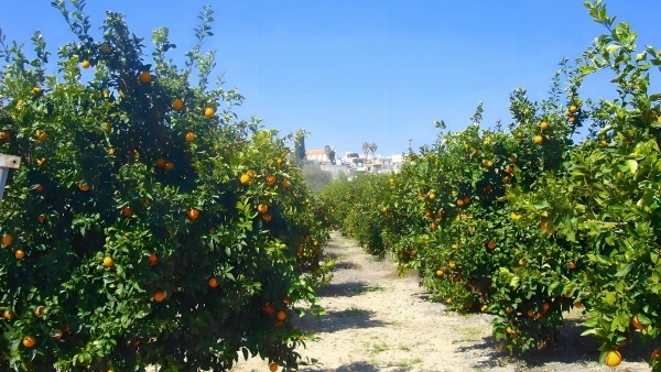 Leonidas Village Houses - 14 éjszakás