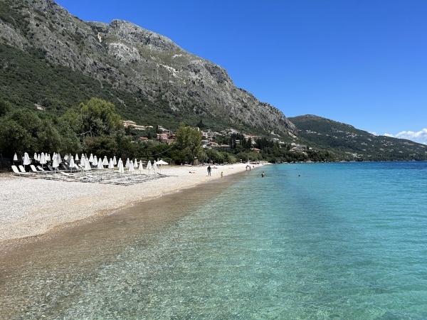 NAUTILUS BARBATI ***