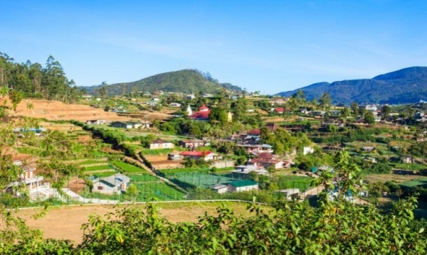 Nagykörút Srí Lankán, pótcsoport