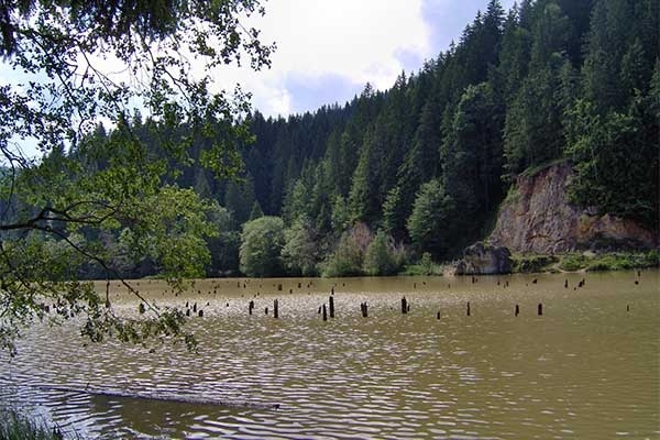 Pünkösdi búcsú Csíksomlyón autóbusszal