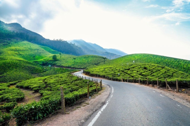 Természetes harmónia Keralában - jóga, nyugalom és új energiák - Kőváry Anett jógaterapeutával