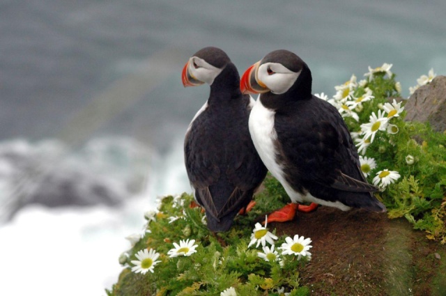 Felfedezőúton Izlandon, a tűz és a jég szigetén - csoportos körutazás