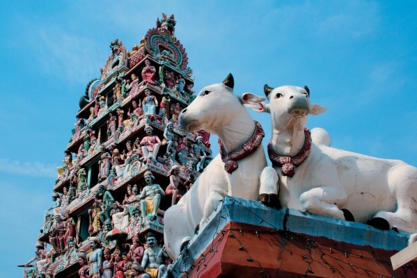 Csoportos hajóút: Délkelet-Ázsia varázslatos tájain