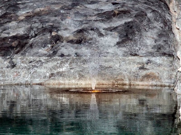 Mesél a bécsi erdő