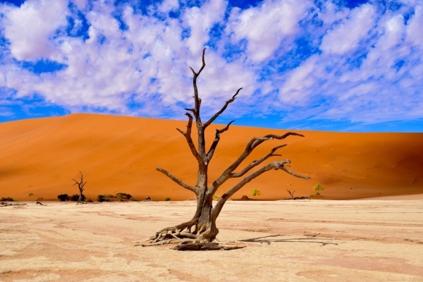 Namíbia varázsa - sivatagok, vadon és ősi himba kultúrák nyomában, repülővel