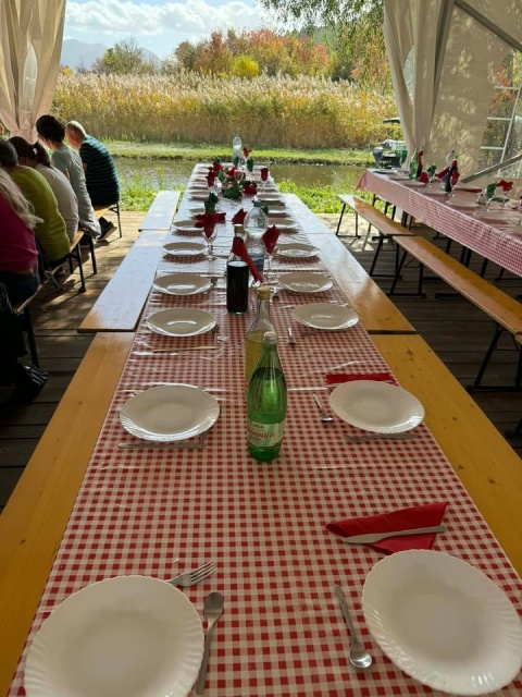 Mandarin szüret Dalmáciában - DUBROVNIKI kirándulással