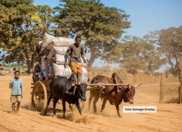 Madagaszkár, a nyolcadik kontinens ***