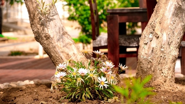 Marika - 16 éjszakás