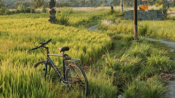 Buahan, a Banyan Tree Escape - 12 éjszakás