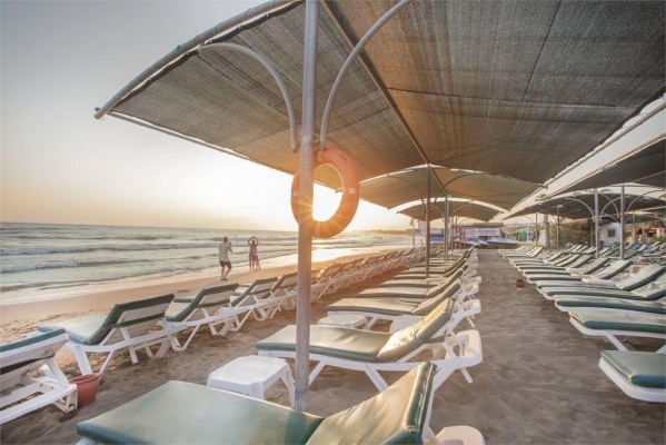 Trendy Palm Beach (Adults Only 16+) *****