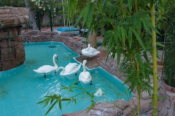 Mg Club Akman Beach ****