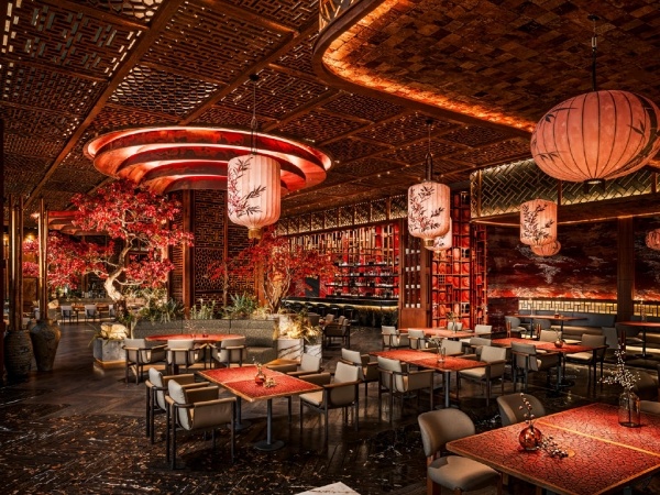 Regnum The Crown *****