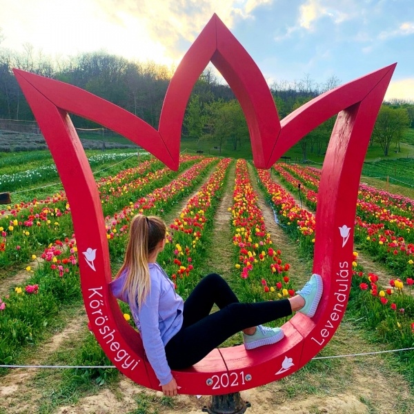 Tulipánvirágzás Kőröshegyen, Kaposvár és a szennai tájház