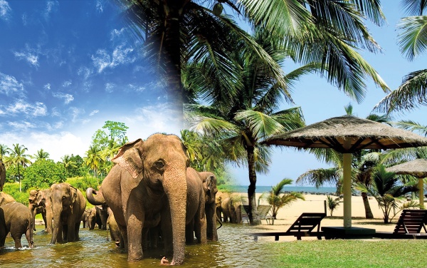 Srí Lanka körút + üdülés a Goldi Sands Hotel-ben