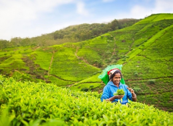 Szilveszter éjszaka a Maldív-szigeteken