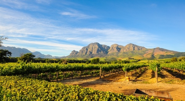 Ahol két óceán találkozik - Dél-Afrika