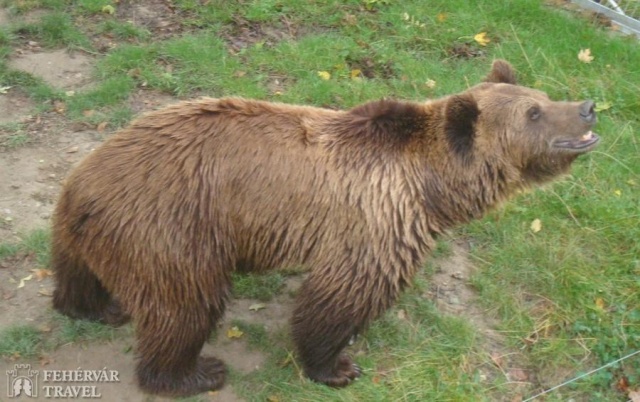 Svájc, az Alpok országa