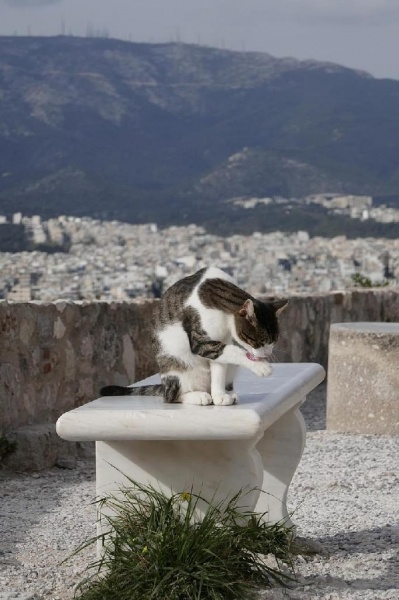 NYÁRBÚCSÚZTATÓ ATHÉNBAN - Romantikus hangulatban az Akropolisz árnyékában