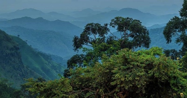 Srí Lanka gyöngyszemei (körút + üdülés)