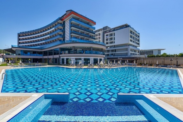 Lonicera Premium *****