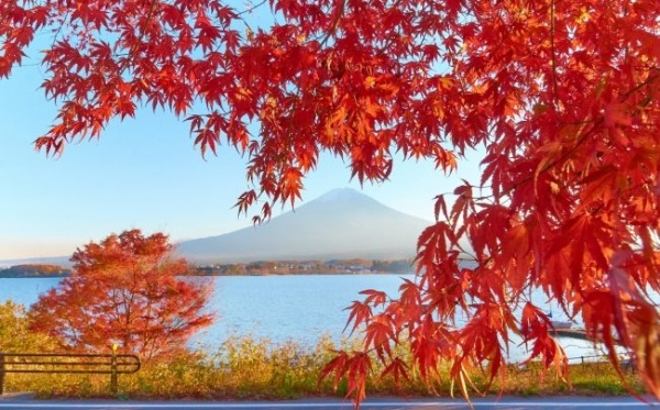 Momidzsi, az ősz csodája - Japán nagy körutazás magyar idegenvezetéssel 2026.10.01-10.13.