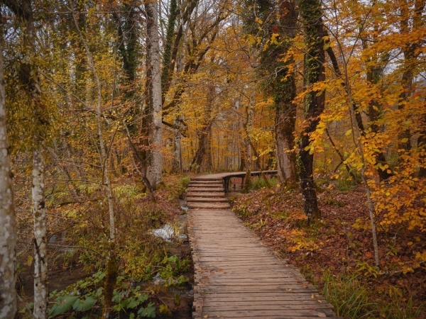 PLITVICEI NEMZETI PARK VARÁZSA - HORVÁTORSZÁG KÖRUTAZÁS BUSSZAL