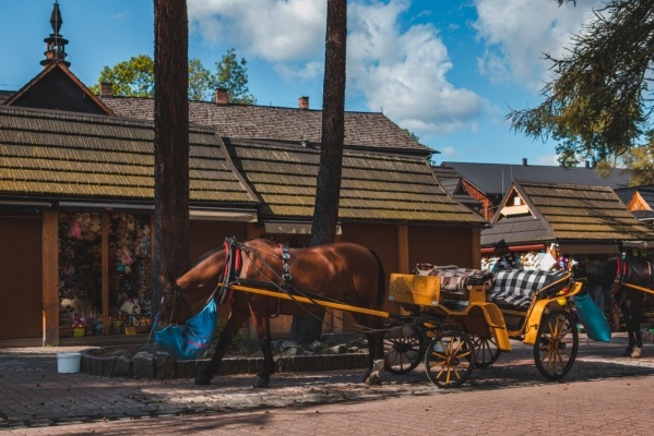 ZAKOPANE ÉS BÁRTFA - DUNAJECI TUTAJOZÁSSAL - LENGYELORSZÁG UTAZÁS BUSSZAL